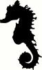 Sea Horse vinyl decal